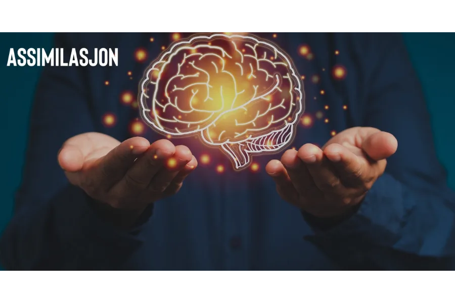 A Comprehensive Guide to Understanding assimilasjon