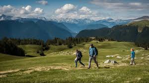 A Comprehensive Guide to Understanding hochre