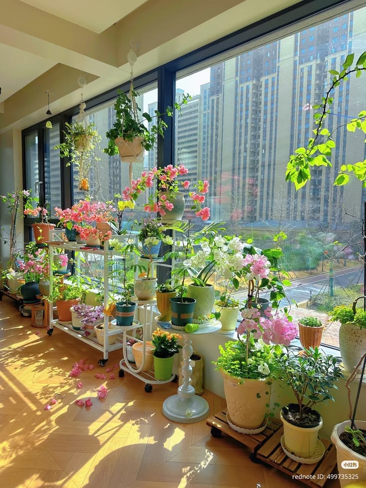 Innovative Ideas for Indoor Gardening indoor gardening